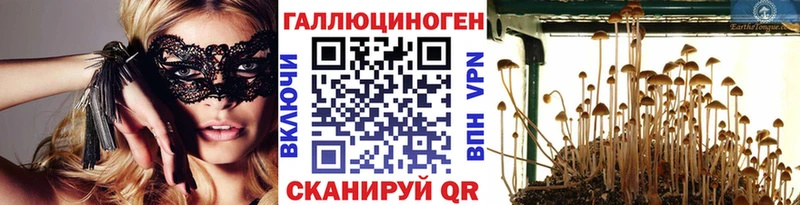 купить закладку  Красноармейск  Галлюциногенные грибы мицелий 